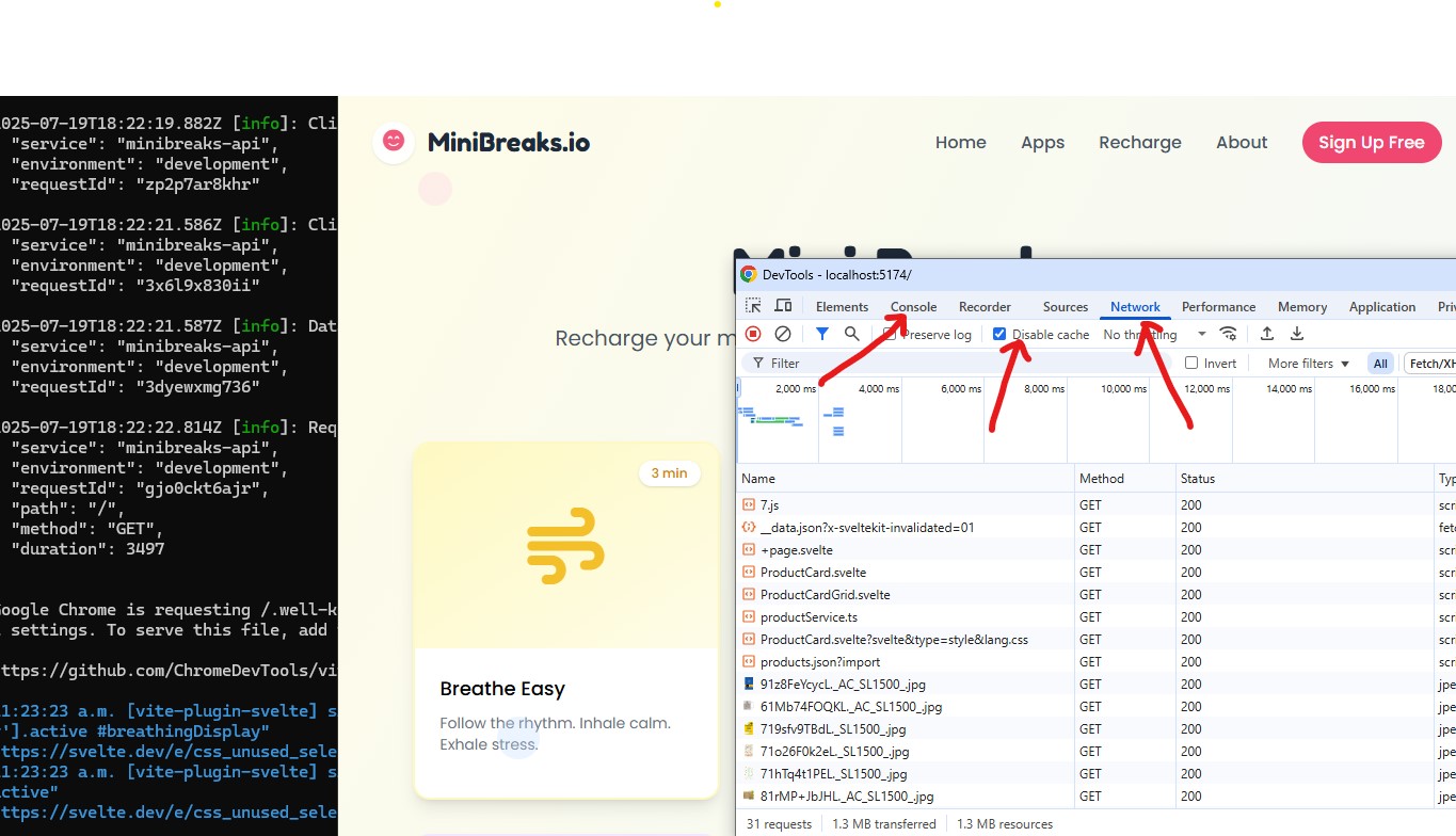 Screenshot of browser dev tools showing manual testing process